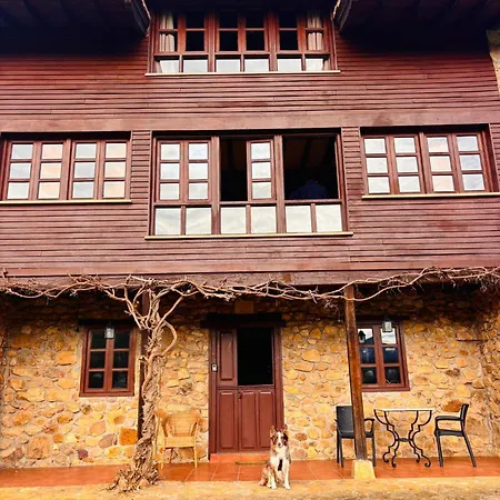 La Casona De Sovina Kır Evi Piloña